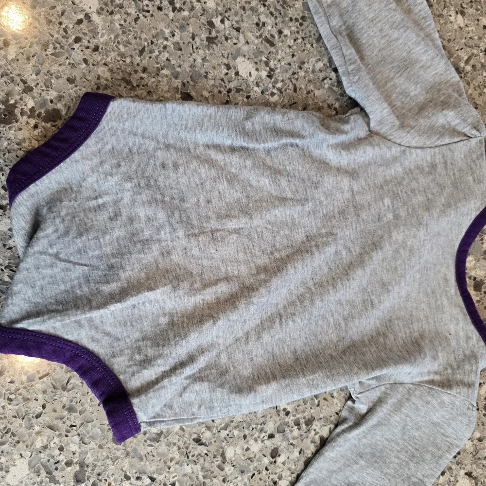 Carhartt Grey Purple‎ Horse Graphic Long Sleeve Bodysuit Baby Girl Size 3M.E117